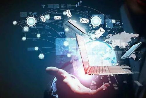 服務(wù)業(yè)創(chuàng)新發(fā)展 為何上海應(yīng)將培育本地民企置于更突出位置